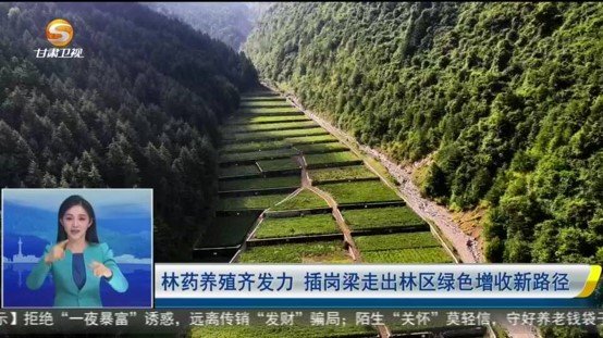 张宏祯首先前往贾昌电站